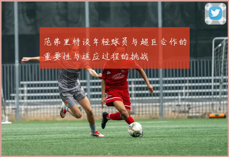范弗里特谈年轻球员与超巨合作的重要性与适应过程的挑战
